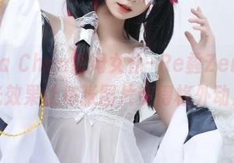 Poppa Chan雷姆女仆–Re:Zero：无圣光效果让每张图片变得格外动人！